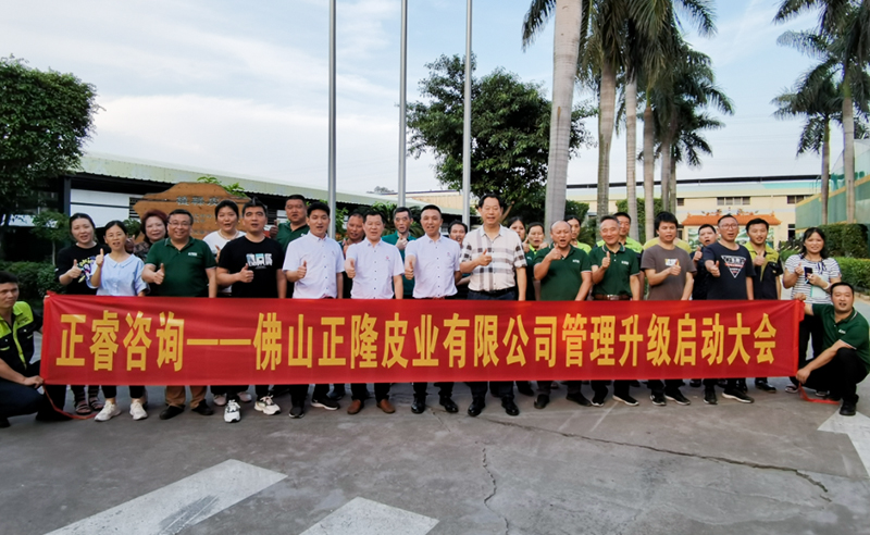 助力皮革行業(yè)再樹標(biāo)桿——正隆皮業(yè)全面管理升級項目啟動！
