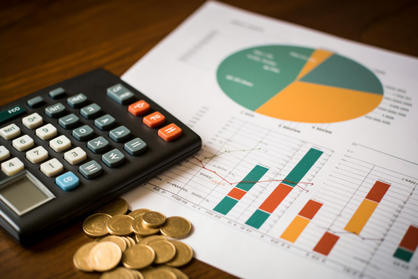 強(qiáng)化集團(tuán)管控：財(cái)務(wù)，人力資源，信息技術(shù)的整合