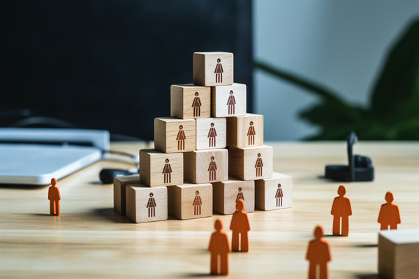 強(qiáng)化集團(tuán)管控：財(cái)務(wù)，人力資源，信息技術(shù)的整合