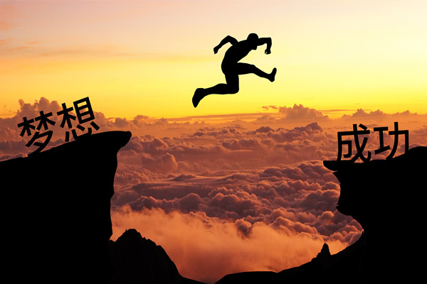 績效管理：應(yīng)對變革挑戰(zhàn)，推動組織變革成功