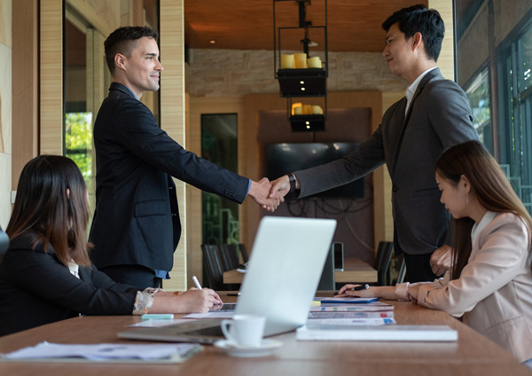 集團(tuán)管控：建立風(fēng)險防范機(jī)制，確保企業(yè)穩(wěn)健發(fā)展