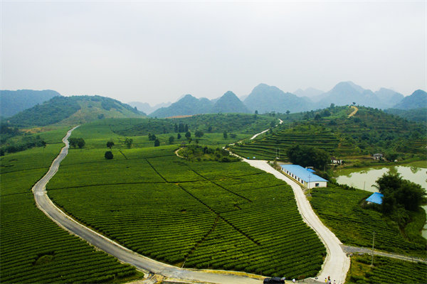 清遠(yuǎn)營(yíng)銷咨詢公司深挖需求，如何為品牌打造直擊消費(fèi)痛點(diǎn)的賣點(diǎn)？