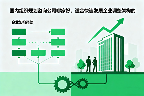 國(guó)內(nèi)組織規(guī)劃咨詢(xún)公司哪家好，適合快速發(fā)展企業(yè)調(diào)整架構(gòu)的