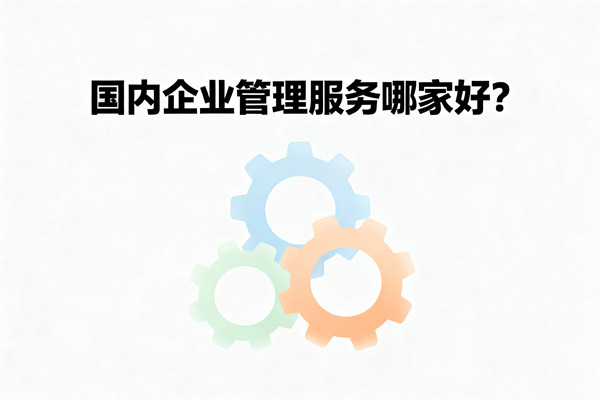 國內(nèi)企業(yè)管理服務(wù)哪家好？