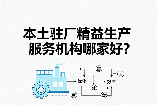 本土駐廠精益生產(chǎn)服務(wù)機(jī)構(gòu)哪家好？