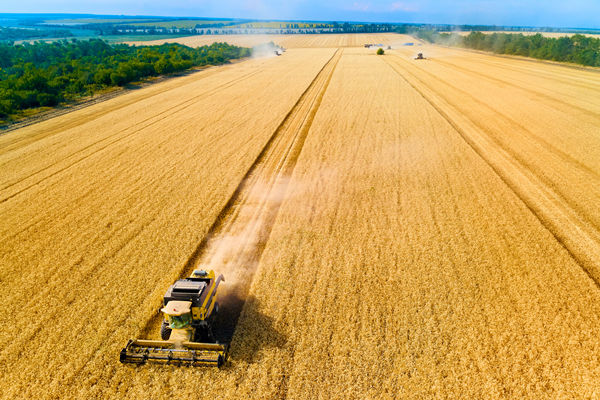 農(nóng)業(yè)行業(yè)供應(yīng)鏈管理咨詢公司推薦，能解農(nóng)資采購(gòu)成本高問(wèn)題嗎？