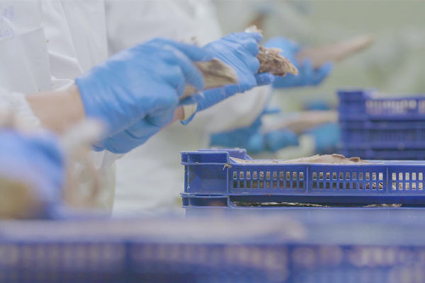 本土駐廠精益生產(chǎn)咨詢哪家強(qiáng)，能快速提升產(chǎn)線流轉(zhuǎn)效率么？